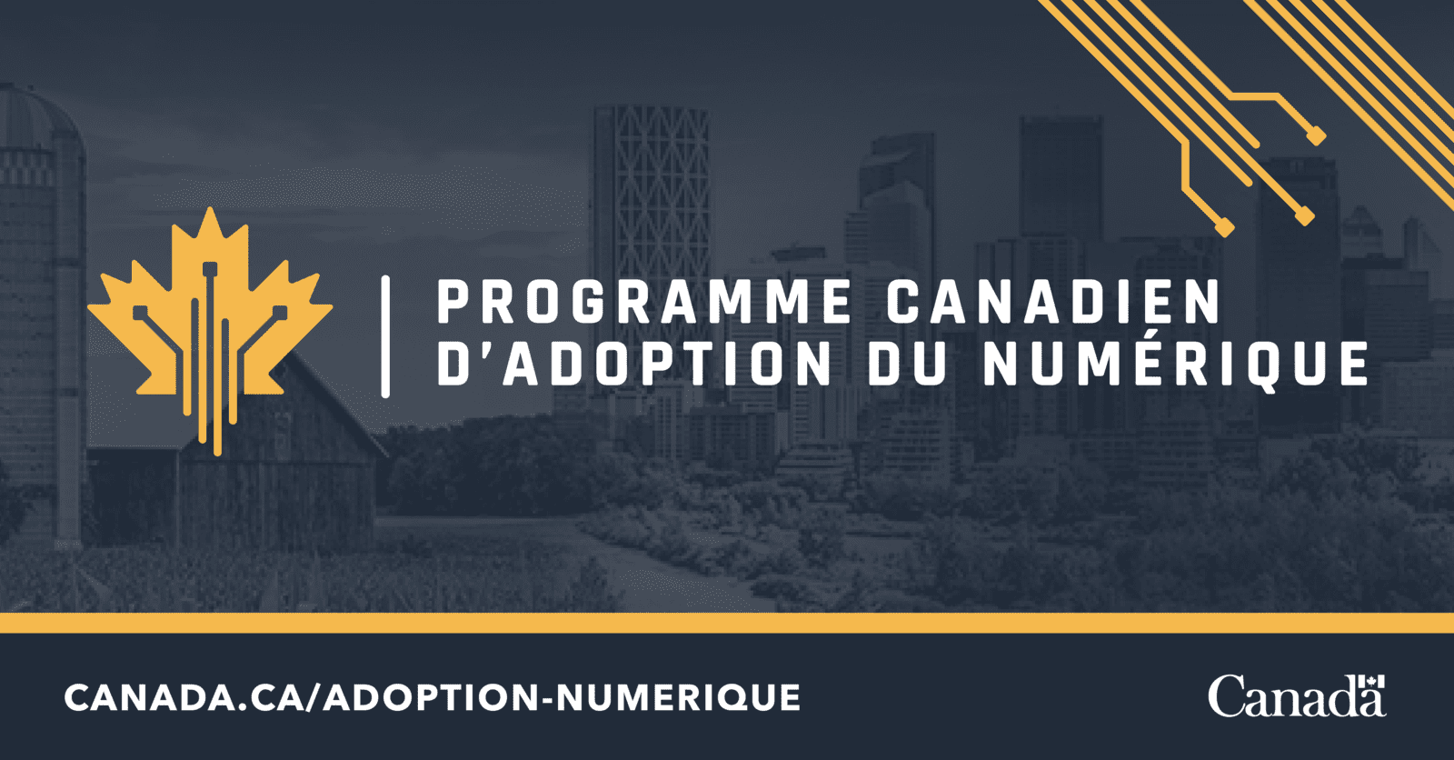 Comment le programme canadien de l'adoption du numérique peut aider les petites entreprises à rester compétitives.